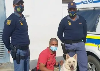 Tsitsikamma's K9 Unit safely returns 2-year-old missing girl in Knysna