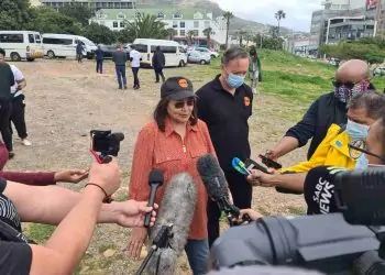 patricia de lille