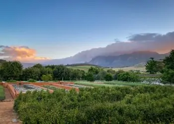 Babylonstoren: Top Hotel in Southern Africa