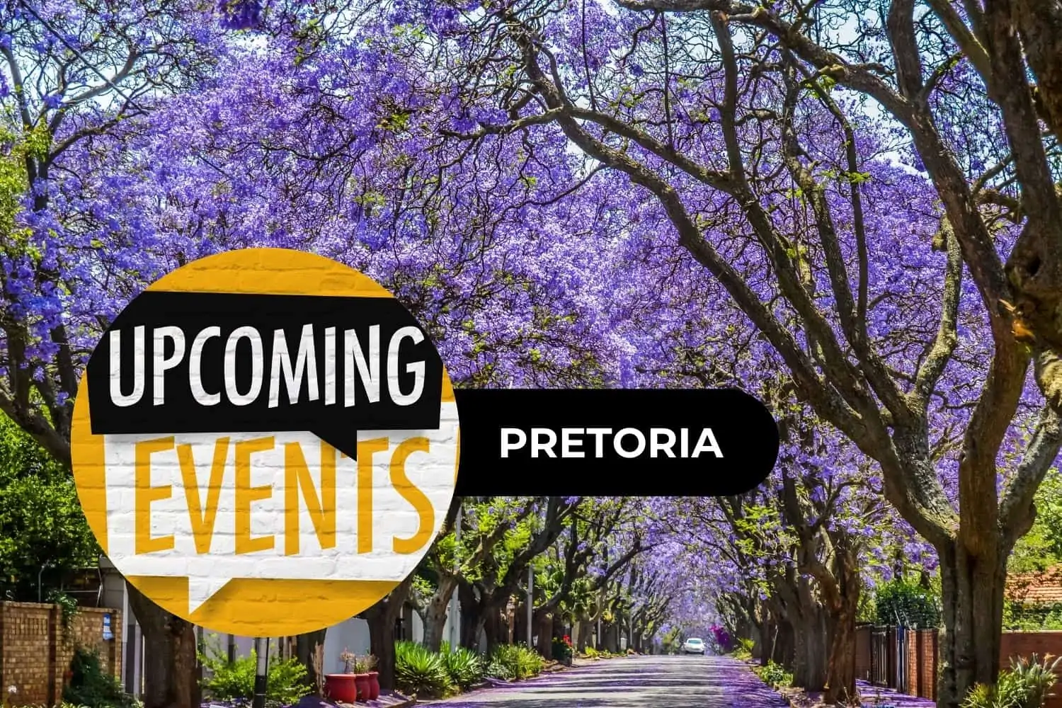 Pretoria events this November see what's happening!