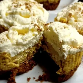 Pumpkin Cheesecake Cupcakes