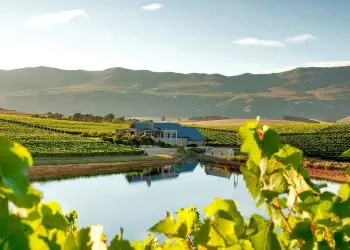 SA wine farms amongst the World's Best Vineyards 2021SA wine farms amongst the World's Best Vineyards 2021