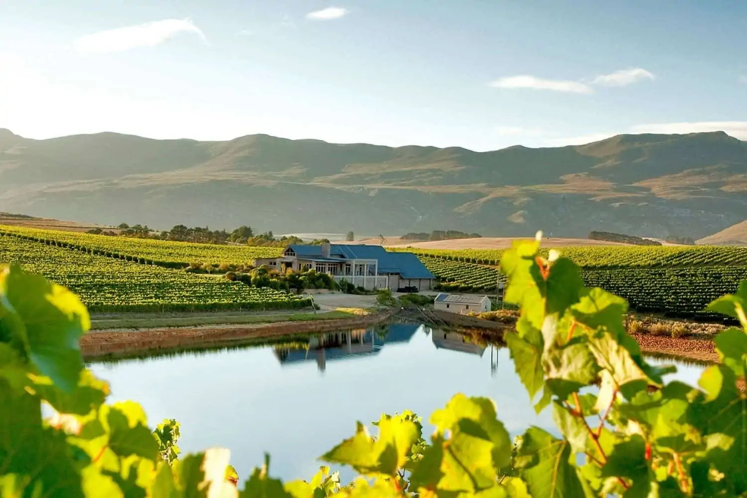 SA wine farms amongst the World's Best Vineyards 2021SA wine farms amongst the World's Best Vineyards 2021