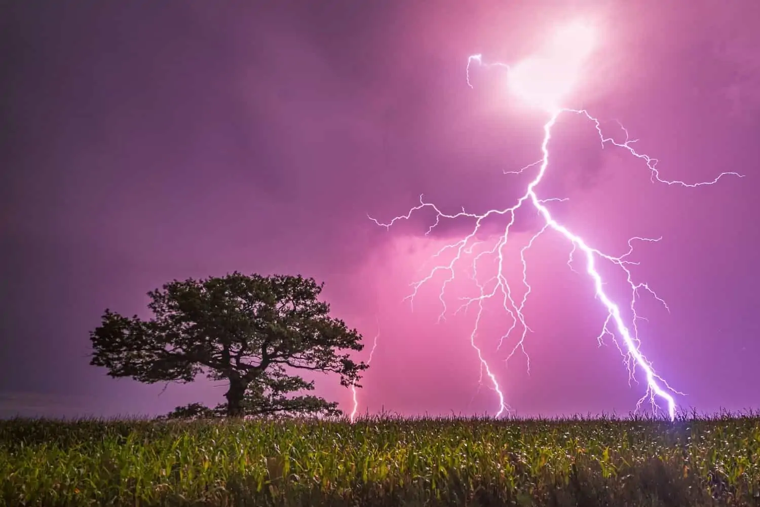 After nine children were struck by lightning, two lost their lives