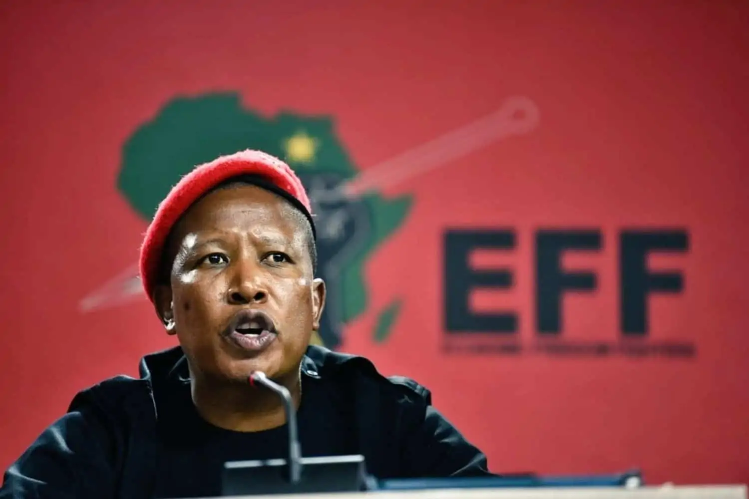 EFF says they wanted to "save" SA from the ANC by backing the DA