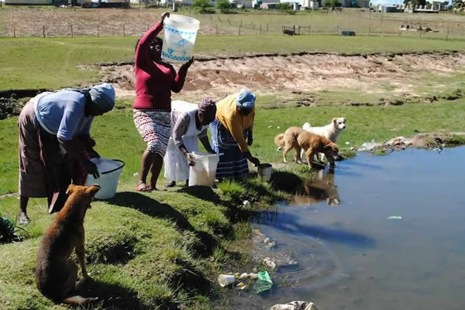 Months of No Tap Water for Mandela's Childhood Home