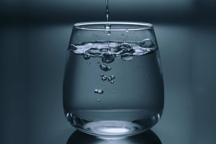 Why We Should Drink Water Every Day