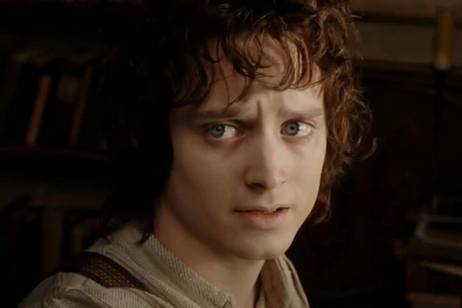 Elijah Wood admits that he's never read "The Lord of the Rings"