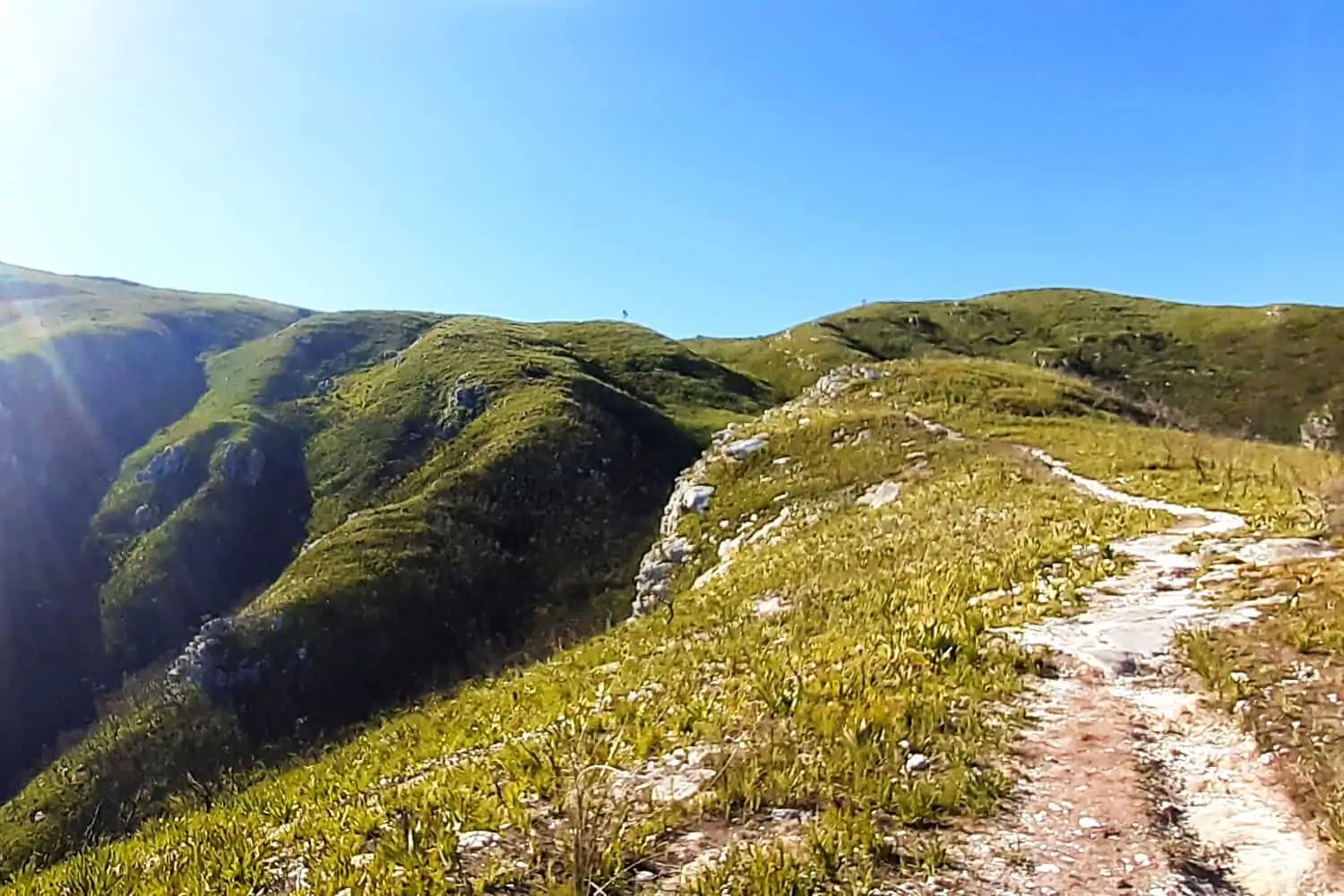 Hiking the Cradock and George Peak Trails