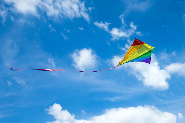 International Kite Day 2022