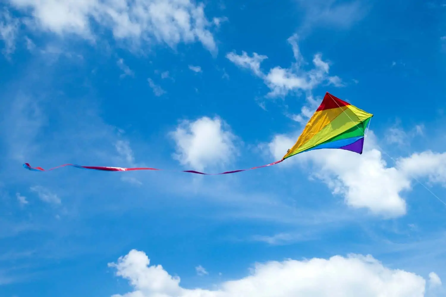 International Kite Day 2022