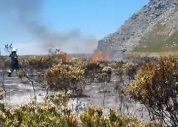 Multiple Fires on OuKaapse Weg Now Under Control