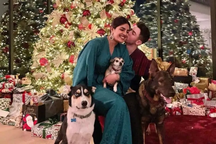 Nick Jonas and Priyanka Chopra's little family just got bigger!