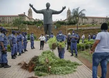 SA Khoisan King receives warning after growing dagga at Union Buildings