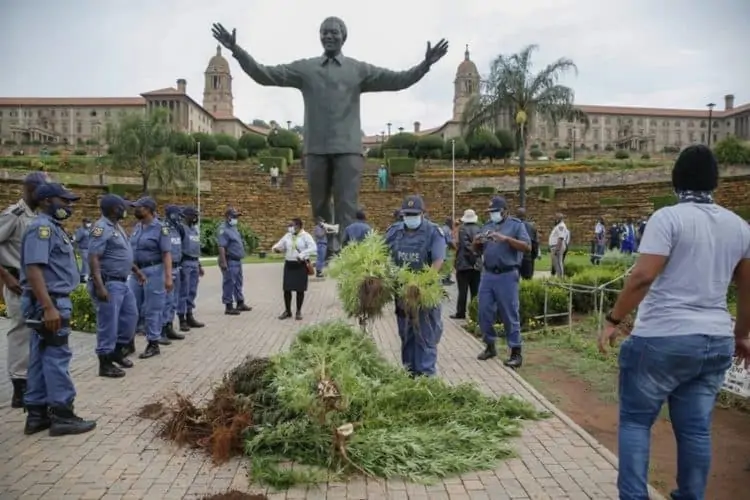 SA Khoisan King receives warning after growing dagga at Union Buildings