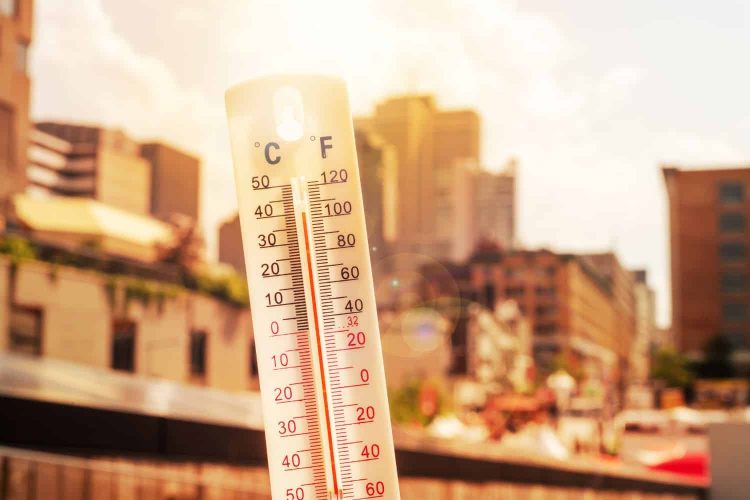 SA Weather warns of "extreme heat" hitting the Western Cape