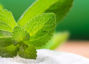 What is Stevia?