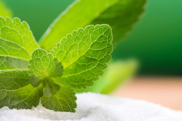 What is Stevia?