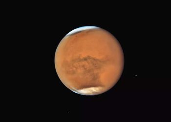 Stargazing: Mars Returns as Venus Burns Bright