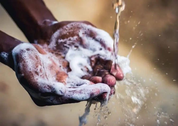 WARNING: Typhoid Fever in the Western Cape and the North WestWARNING: Typhoid Fever in the Western Cape and the North West