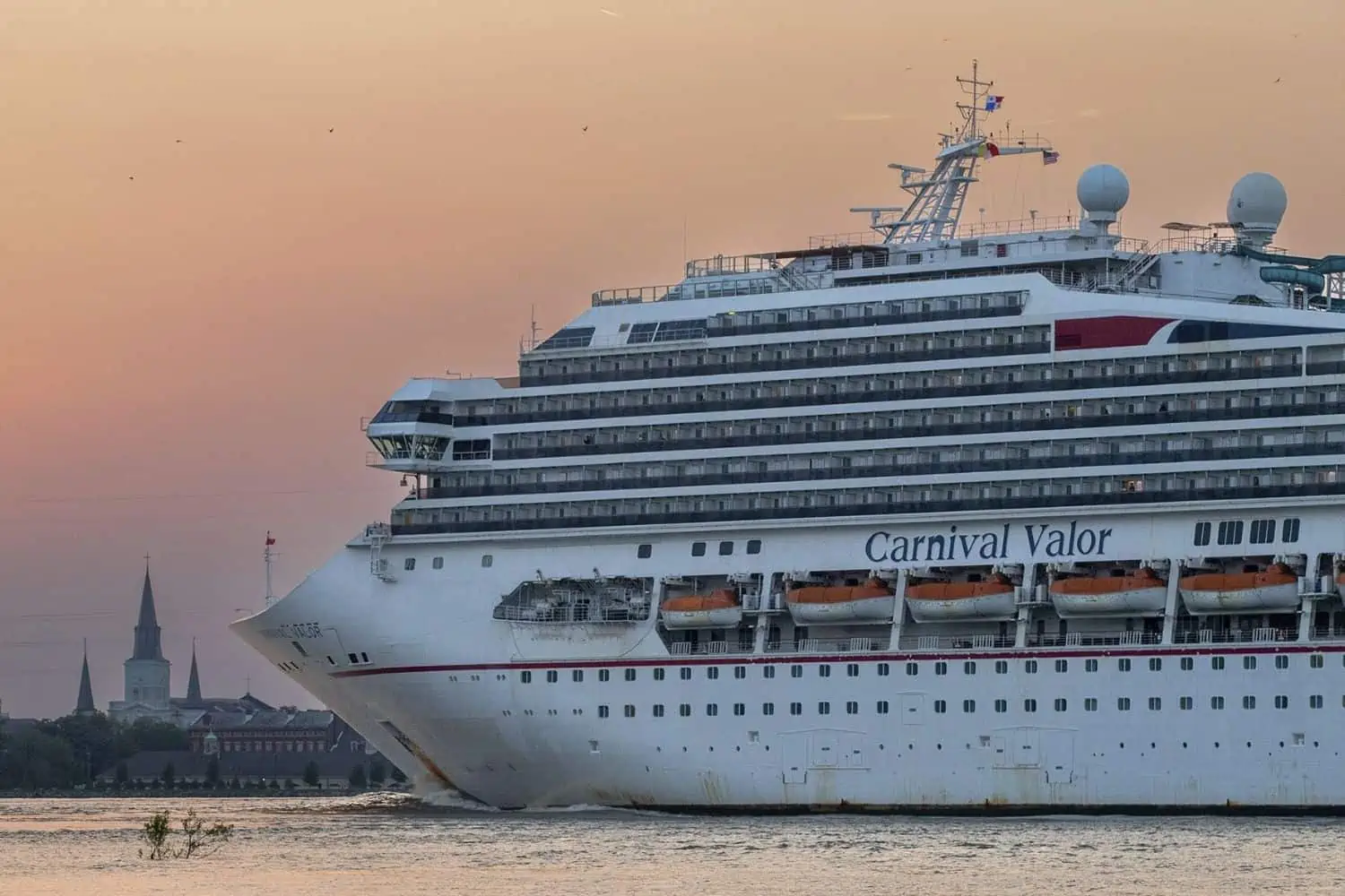 [WATCH]: Woman struggles with security before jumping off Carnival Cruise Ship