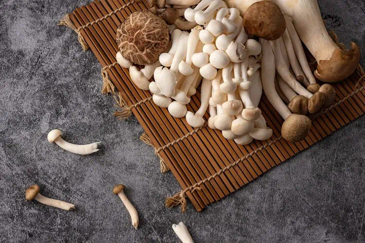 The Nutritional Value of Mushrooms