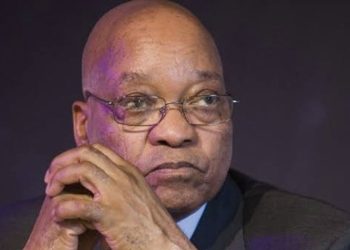 NPA gives way for Zuma to seek private prosecution after refusing to prosecute Downer