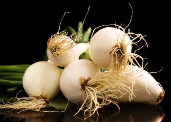 How to grow onion
