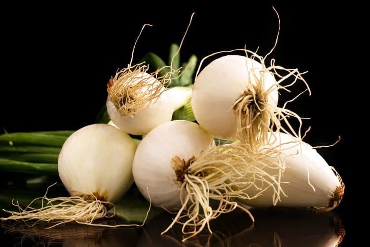 How to grow onion