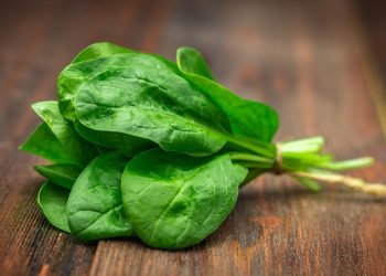 How to grow spinach