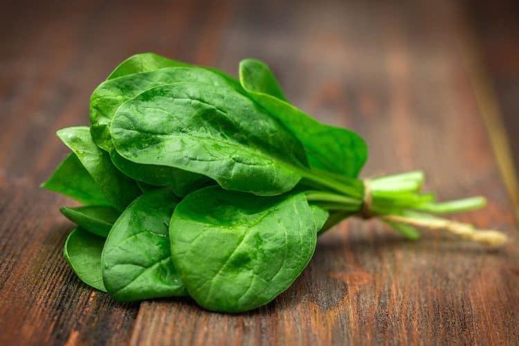 How to grow spinach