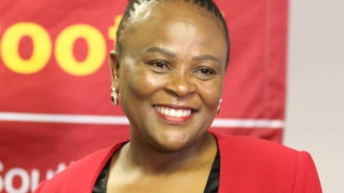 Mkhwebane concourt