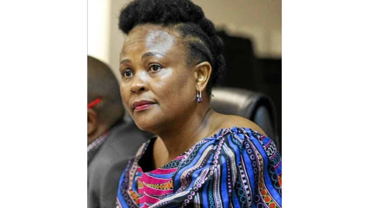 Busiswe Mkhwebane image