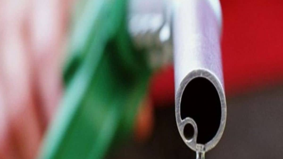 More pain for South Africans as the fuel price is set to increase again next month