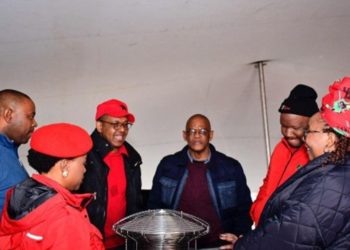 Ace Magashule attending EFF rally image