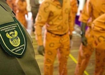 Two correctional services officials killed by escape parolee in Duduza
