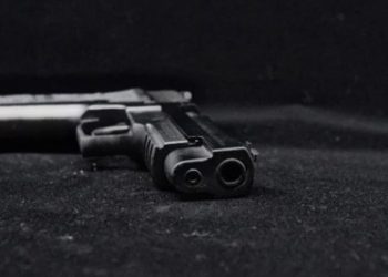 Free State farm workers shot dead