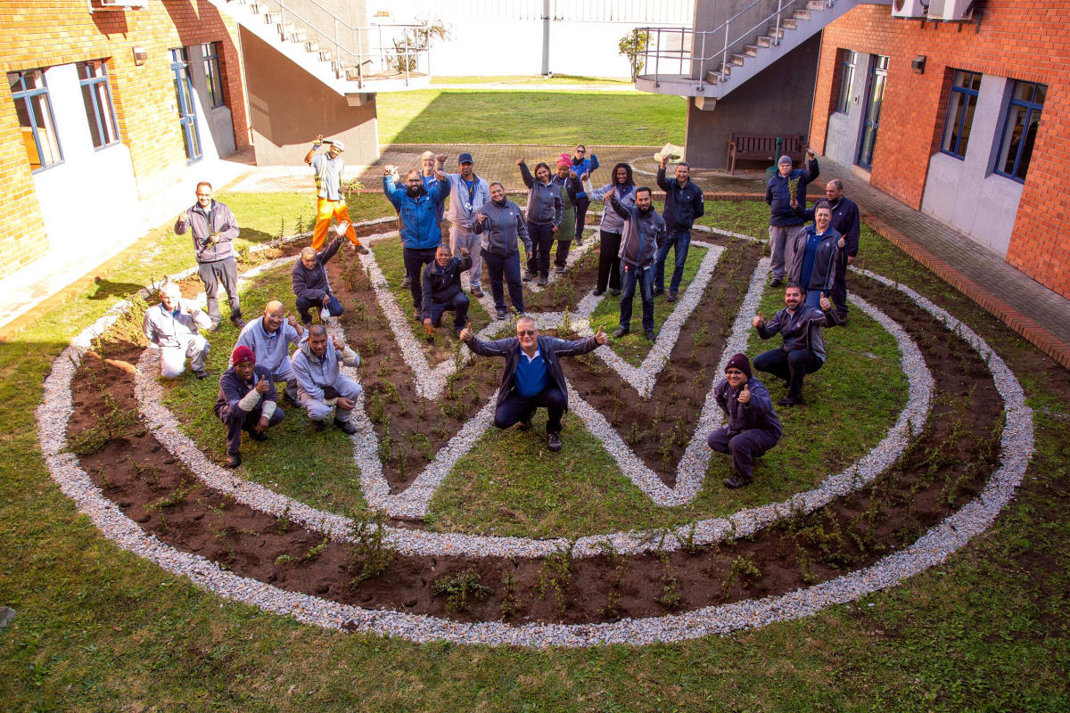 Spekboom logo planting with employees