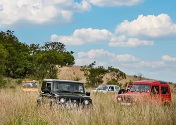 Suzuki Jimny 50th Ride