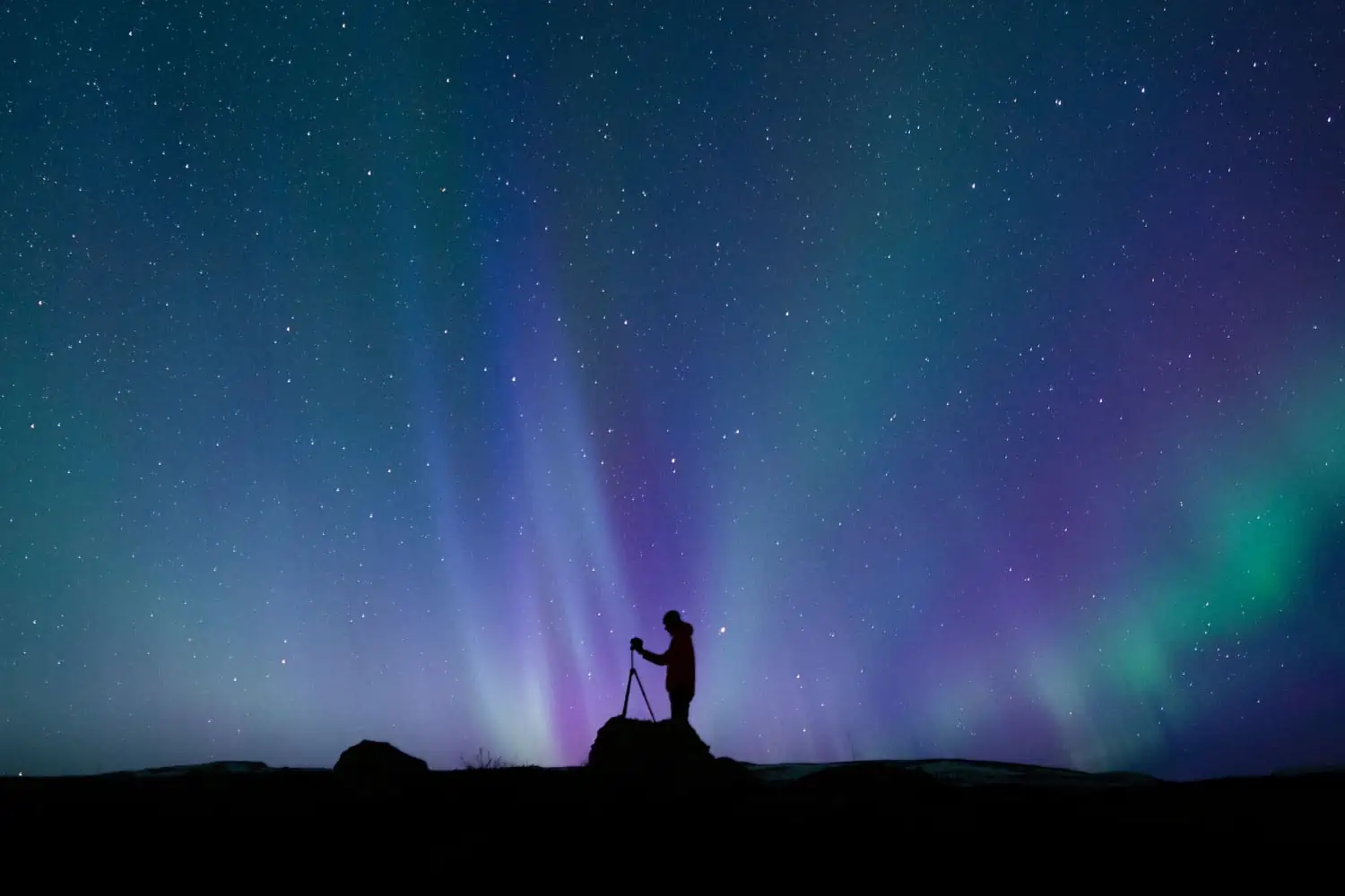Horoscopes and Astrology for today, Wednesday 8 November 2023