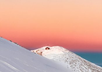 Photo by Andreas Gusicov via Pexels.