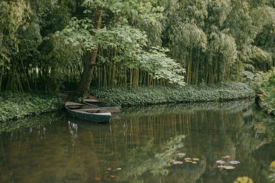Photo by Clement Couturier via Pexels.