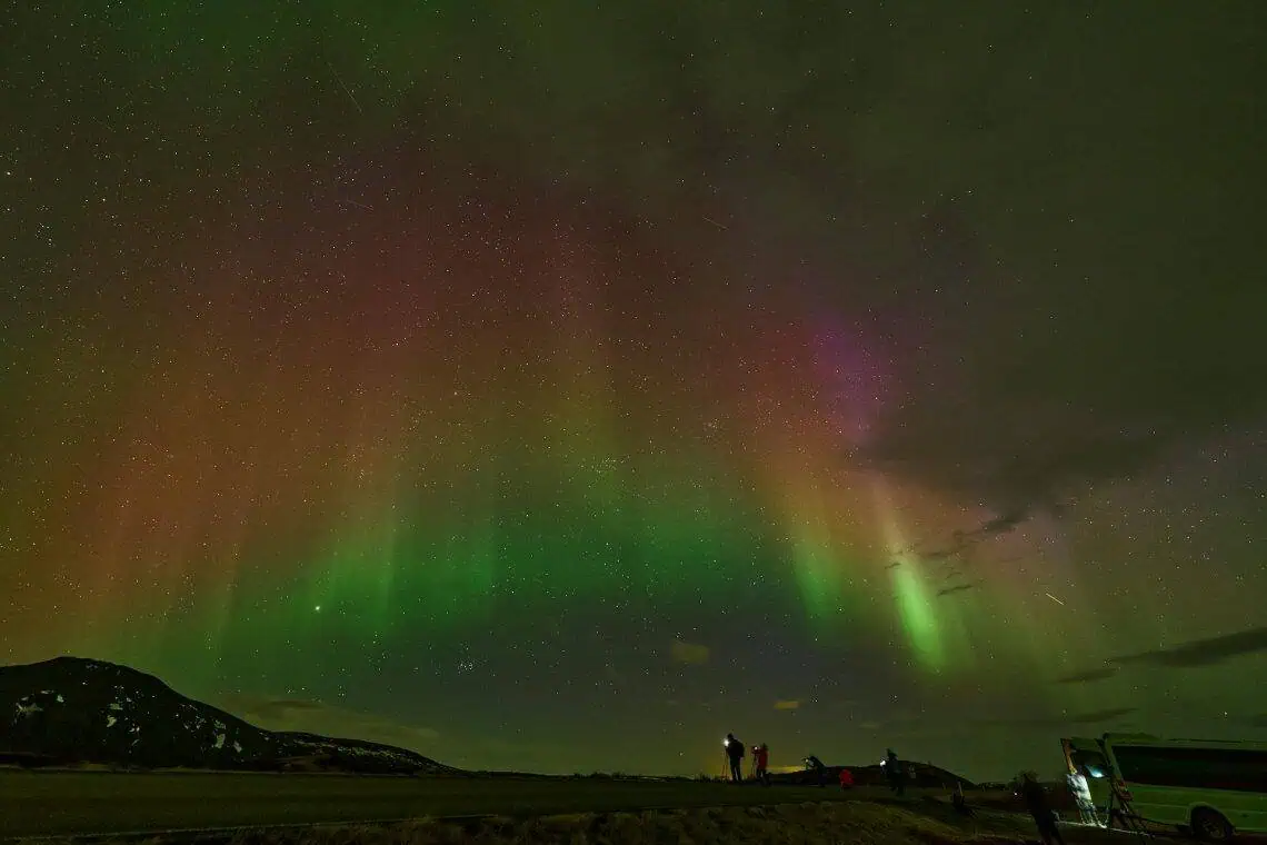 June 17 Horoscopes/ Photo by Francisco Cornellana Castells via Pexels.