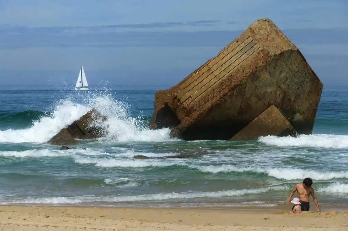 Photo by Hans Heemsbergen via Pexels.