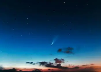 Horoscopes for 19 June.