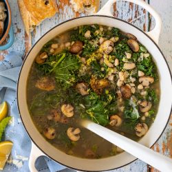 Mushrooms for Liver Wellness