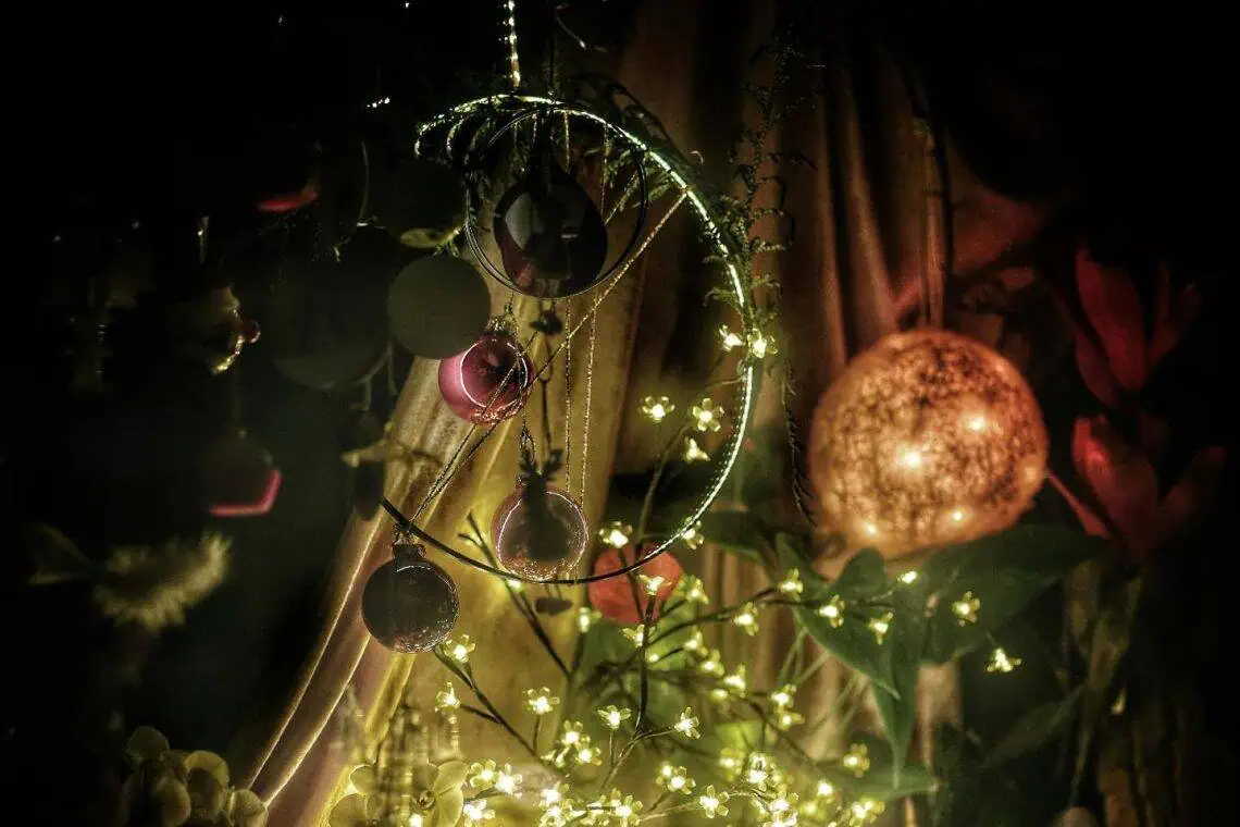 Horoscopes for 20 July. Photo by Chiara S viz pexels.com