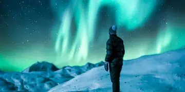Horoscopes for 24 July.