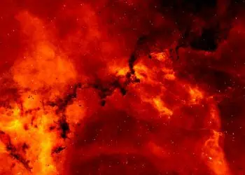 Horoscopes 13 July.