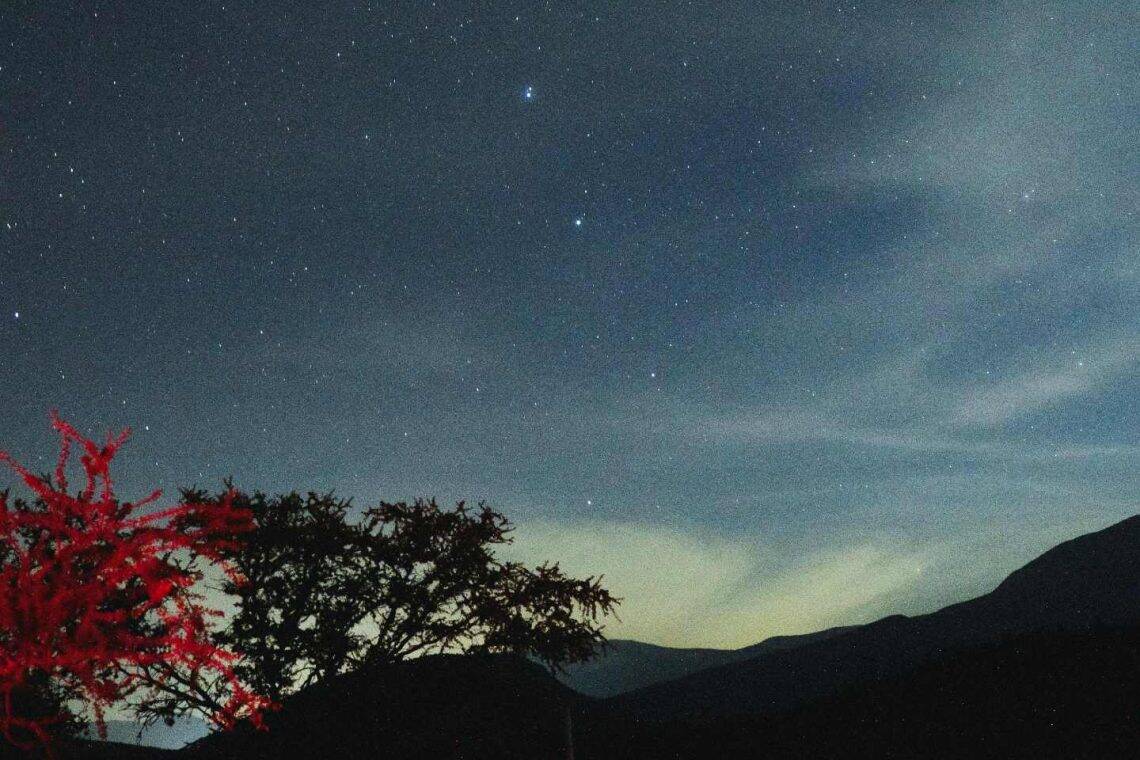 Horoscope for 25 August